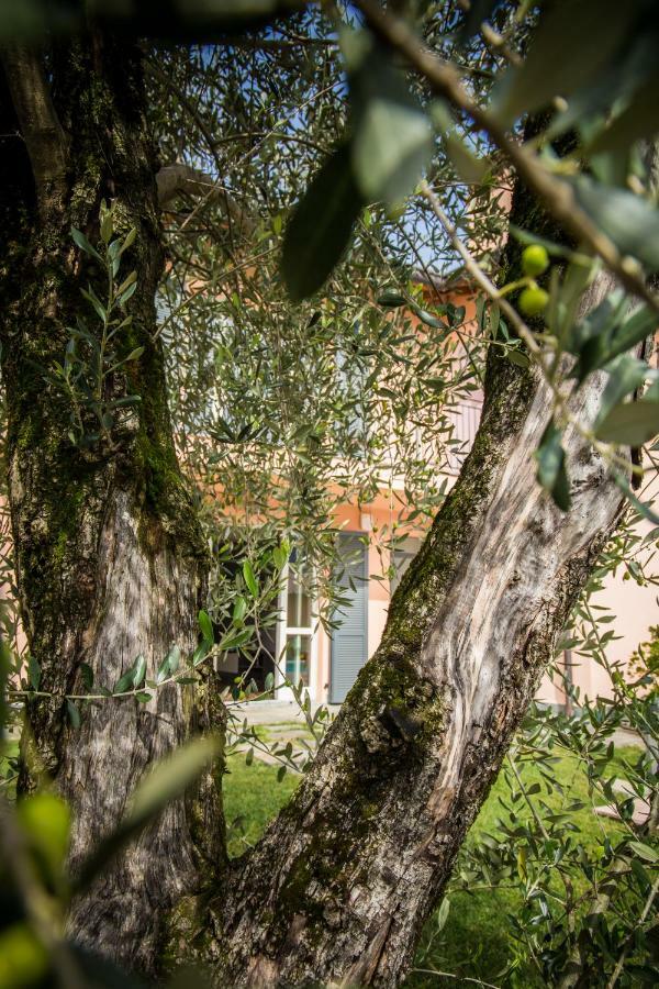 Maison Casa Lavanda Bellagio Eksteriør bilde